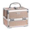 imageFRENESSA Makeup Case Train Case Portable Makeup Box with Mirror Lock Box Travel Cosmetic Train Cases Hard Makeup Organizer for Nail Craft Storage Vanity Rose GoldBeauty Rose Gold