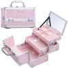 imageFRENESSA Makeup Train Case Makeup Box Organizer Portable Cosmetic Travel Case Makeup Case with Mirror Locking Make Up Cases Organizers and Storage for Nail Supplies Hard Cosmetic Box Shiny PinkShinny Pink