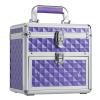 imageFRENESSA Nail Polish Makeup Train Case for Lady with Drawer and Dividers Manicure Kit Organizer Accessory Storage Makeup Box with Mirror Lockable Keys Cosmetic Case Jewelry Box  Purple