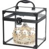 imageFRENESSA Portable Makeup Case Clear Crown Box Cosmetics Display Case Toiletry Organizer Box Transparent Acrylic Artists Train Case Travel Makeup Tools Storage for Vanity Bathroom Counter Dresser CaseBlack