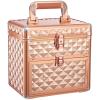 imageFRENESSA Rose Gold Nail Polish Makeup Train Case for Lady with Drawer and Dividers Manicure Organizer Accessory Storage Makeup Box With Mirror Lockable Keys Cosmetic Case Jewelry Box